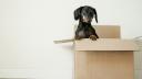 How to deliver learnr tutorials in a package
